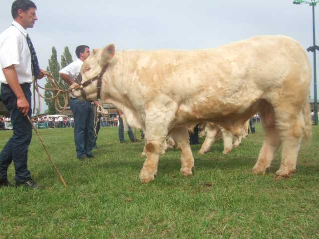 fondateur National 2011